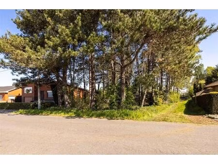 terrain à vendre à kegelstraat 49 berlaar (rbw57775)