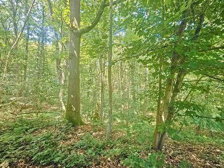 terrain à vendre de 3000 m² à wavre (rbw57832)