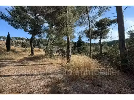 terrain de 2000 m2 - ollioules  france