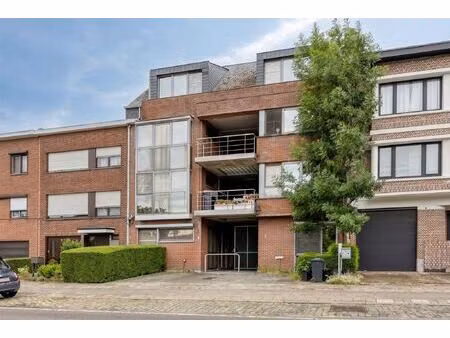 appartement te huur in edegem met 2 slaapkamers