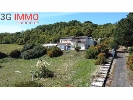 vente locaux professionnels 9 pièces 550 m² à aiguillon (47190)  189 000 €