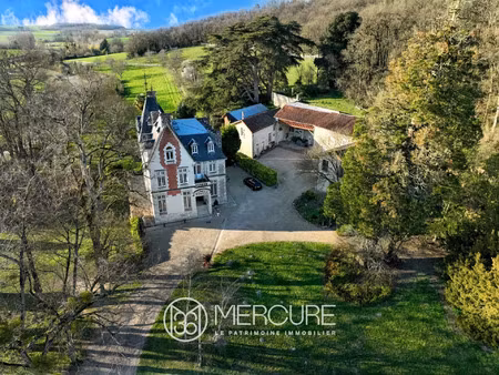 vente maison 17 pièces 490 m² chinon (37500)