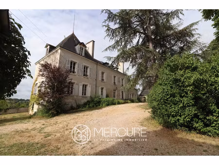 vente maison 15 pièces 463 m² le blanc (36300)