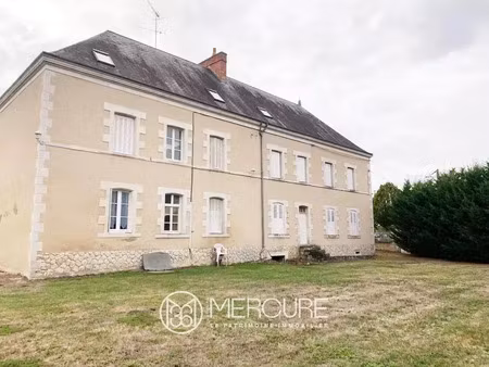vente maison 22 pièces 340 m² le blanc (36300)