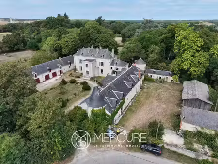 vente maison 18 pièces 540 m² le blanc (36300)