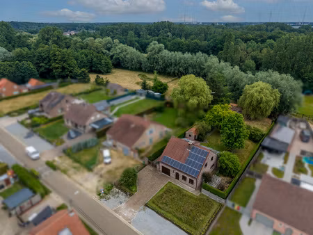 huis te koop in tessenderlo-ham met 4 slaapkamers