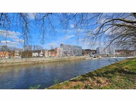 appartement lumineux à angleur