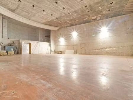 bien professionnel à louer à schaerbeek € 5.000 (lqohc) - immobilière hendrix entreprise |