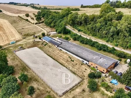 exclusivité – juville – propriété équestre avec installations professionnelles et...