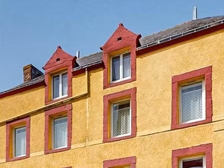 grande maison familiale à saint-dolay (+fonds de commerce)