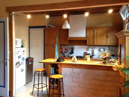 location appartement 2 pièces 53 m² à lyon 7 (69007)