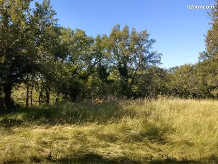terrain constructible viabilisé — 2 000 m² — le vigan-en-quercy (46300)