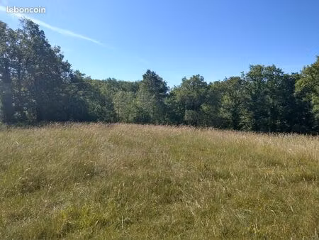 terrain constructible viabilisé — 3 000 m² — le vigan-en-quercy (46300)