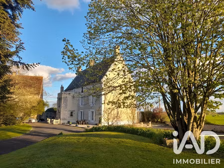 vente maison 11 pièces 395 m² chef-boutonne (79110)