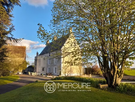 vente maison 12 pièces 400 m² chef-boutonne (79110)