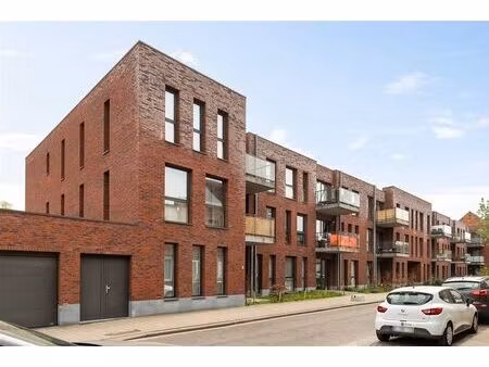 appartement à vendre à hollebeekstraat 151 hoboken (rbw57713)