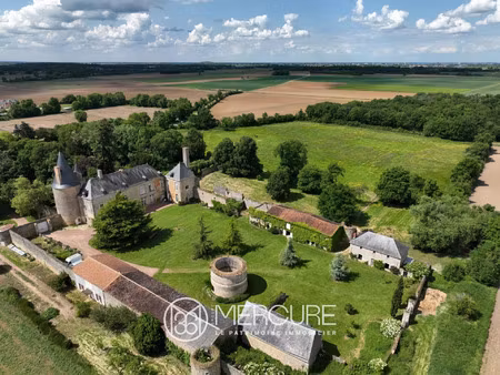 vente maison 15 pièces 450 m² thouars (79100)