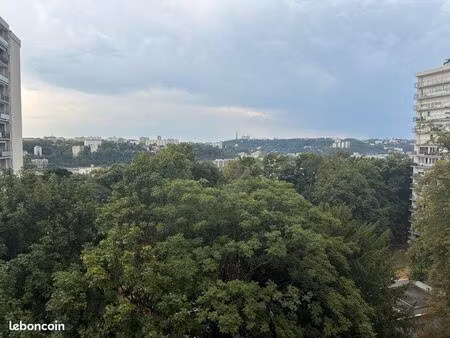 t03 agréable  calme et superbe vue dégagée sur fourvière