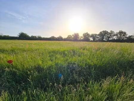 terrain constructible à vendre