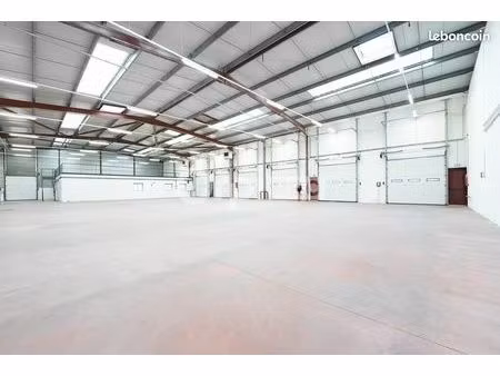 local d'activité 6 061 m²