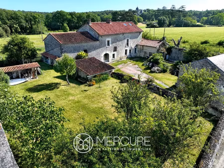 vente maison 7 pièces 230 m² ternay (86120)