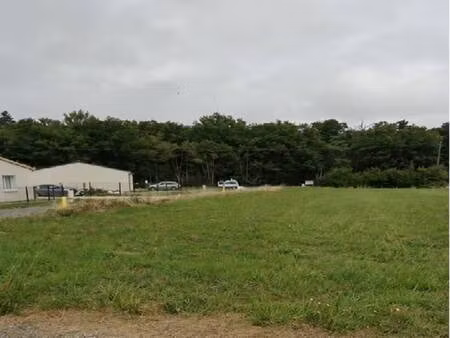 terrain constructible viabilisé à vendre