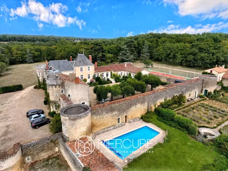 vente maison 20 pièces 800 m² poitiers (86000)