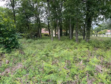 vente terrain 434 m² à andernos-les-bains (33510)  234 000 €