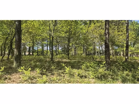 vente terrain 472 m² à belin-béliet (33830)  128 000 €