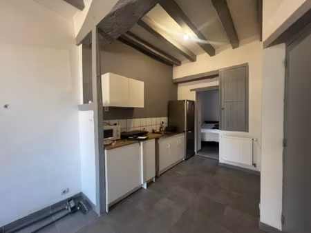 appartement à louer 2 pièces seiches sur le loir (49)