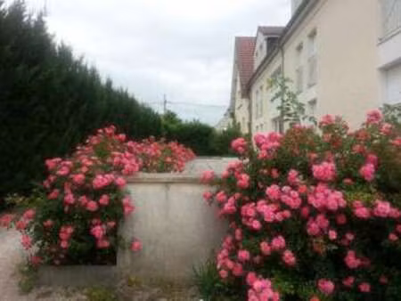 location appartement t1 meublé à dijon (21000) : à louer t1 meublé / 9m² dijon
