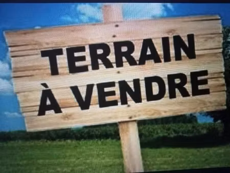 vente terrain à batir 585 m² à sallertaine (85300)  70 000 €