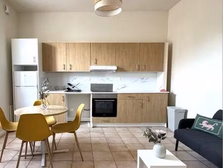 t3 meublé neuf 55 m² - terrasse 50 m² - cave - 2 chambres