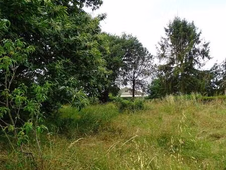terrain à vendre
