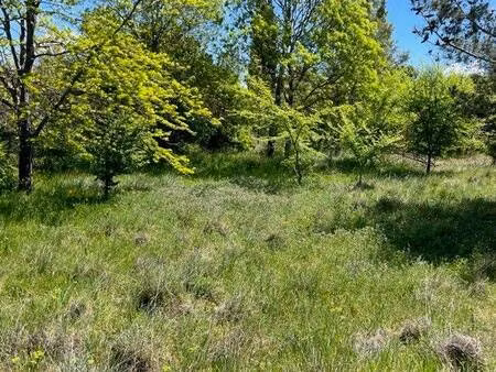 terrain constructible à vendre