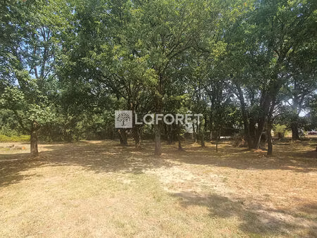 terrain arboré de 2458 m² au calme  villematier