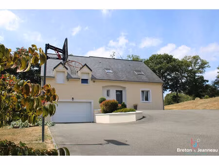 pavillon en campagne proche d'andouillé