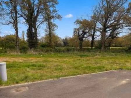 vente terrain à grandchamps-des-fontaines (44119) : à vendre / grandchamps-des-fontaines