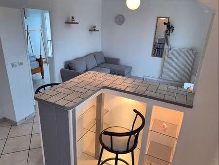? t2 meublé 45 m² – saint-jean-de-la-ruelle (45) – parking + cave