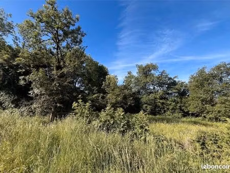 terrain