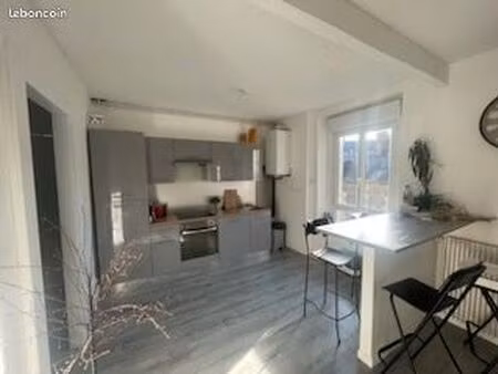 appartement rénové centre ville