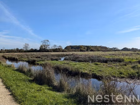 à vendre : claires à huîtres de 8510 m² au gua - opportunité rare !