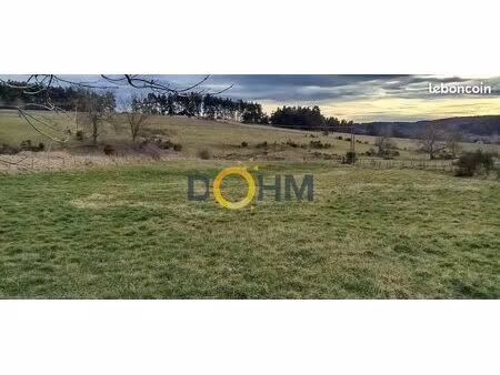 terrain 3240 m² chomelix