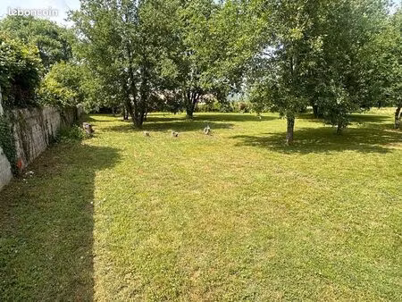 rare à la vente : superbe terrain constructible de 3330 m² au cœur d'un parc arboré
