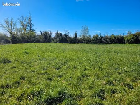 terrain 2025 m² castelnau montratier