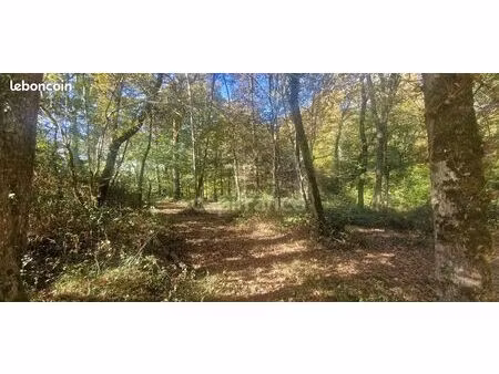 terrain 12 555 m² lagrange