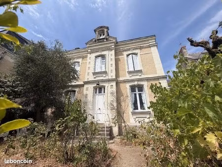 maison 200 m² segre en anjou bleu