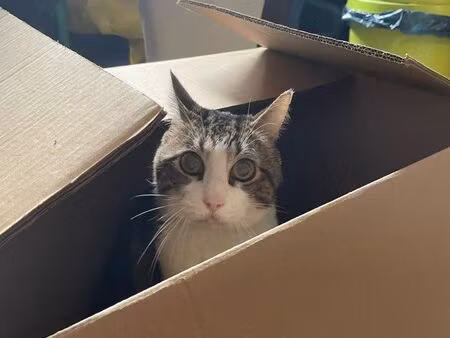 recherche maison en location