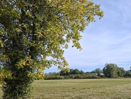terrain 260 m² longue jumelles