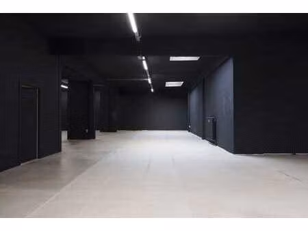 rez-de-chaussée commercial de 500 m² près d'eilandje